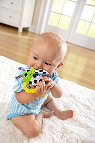 Lamaze - Bitty Bite Bug Rattle