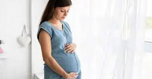 Pregnancy: A Week By Week Guide Wow Baby